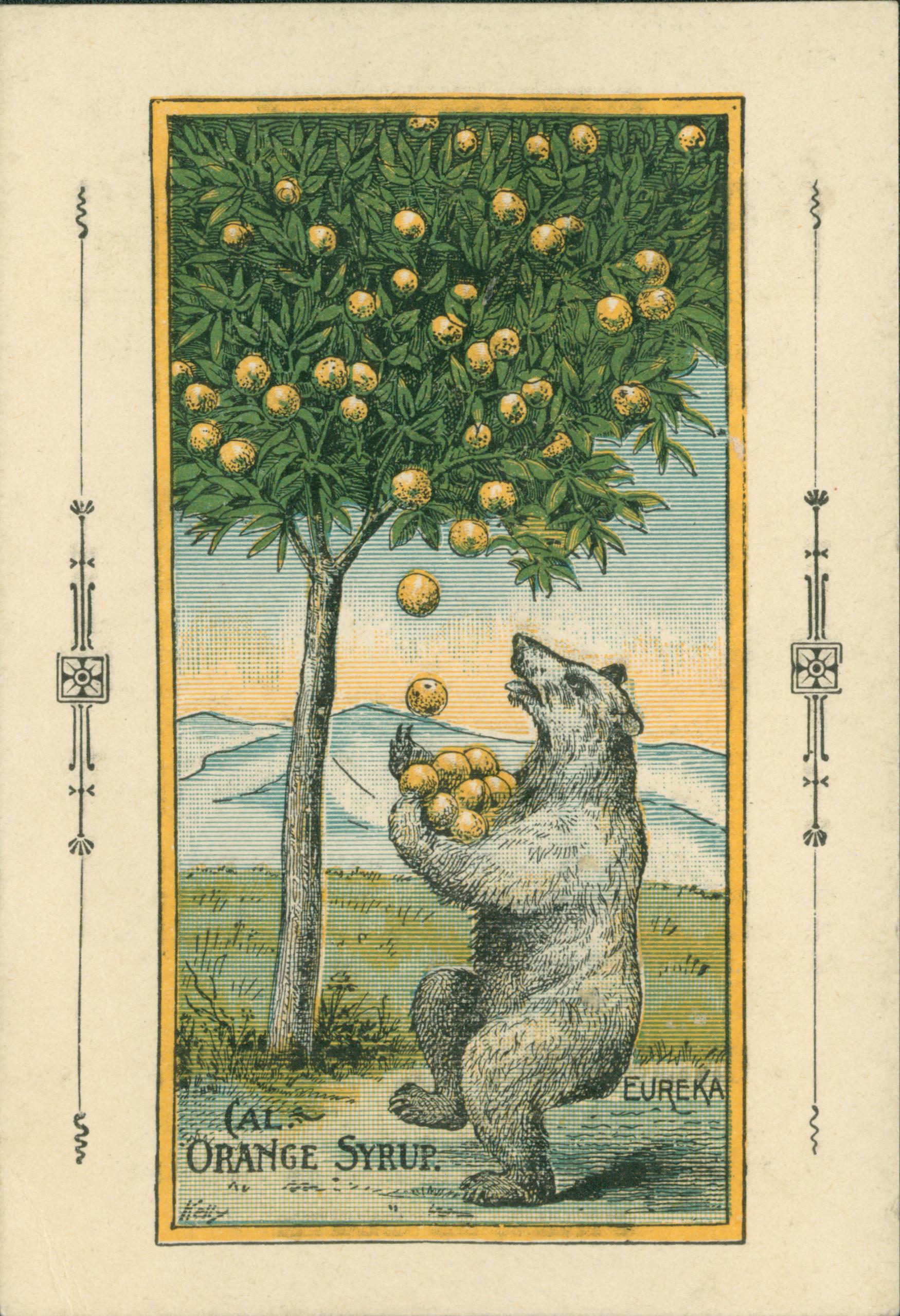 Shows a bear catching oranges falling from a tree.  Text on verso:  'Nature's best vegetable remedy for the permanent cure of ...  Manufactured by the California Medicine Co., San Francisco.'